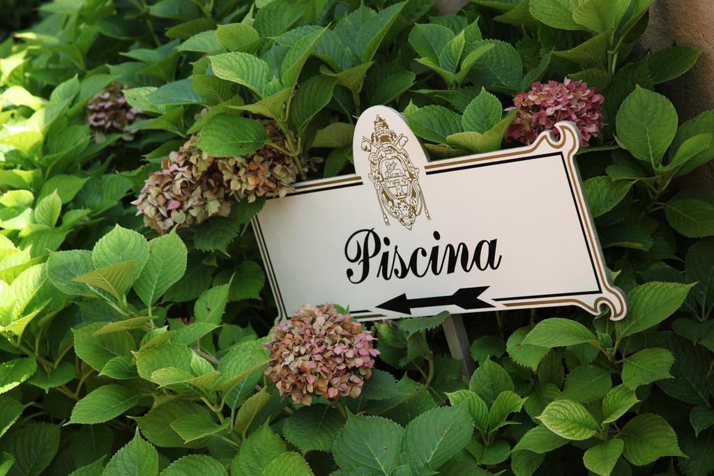 Albergo Ristorante Papa Peschiera del Garda Dış mekan fotoğraf